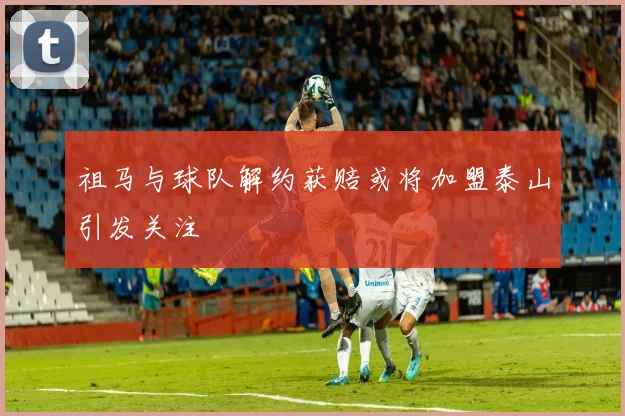 祖马与球队解约获赔或将加盟泰山引发关注