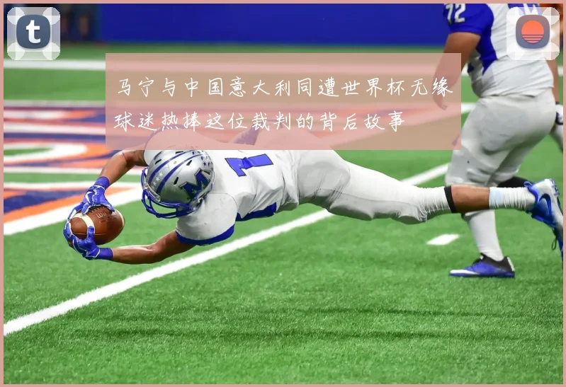 马宁与中国意大利同遭世界杯无缘球迷热捧这位裁判的背后故事